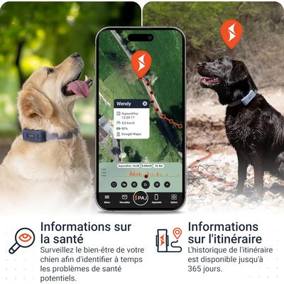 PAJ GPS Traceur GPS pour chiens  – Pet Finder 4G