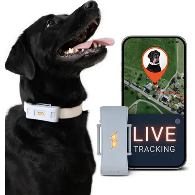 PAJ GPS Traceur GPS pour chiens – Pet Finder 4G PAJ GPS Traceur GPS pour chiens – Pet Finder 4G