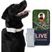 PAJ GPS Traceur GPS pour chiens  – Pet Finder 4G