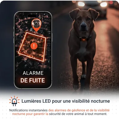 PAJ GPS Traceur GPS pour chiens  – Pet Finder 4G