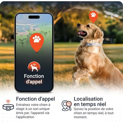 PAJ GPS Traceur GPS pour chiens  – Pet Finder 4G