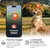 PAJ GPS Traceur GPS pour chiens  – Pet Finder 4G