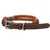 Chien Collier Athos Cognac