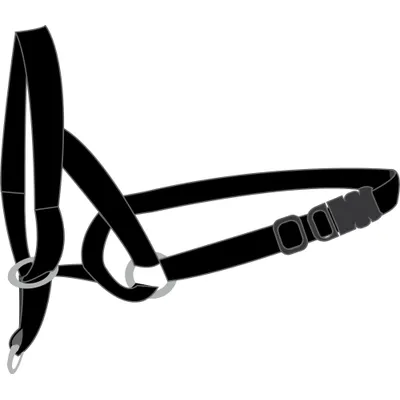Collier Educatif Easy anti traction