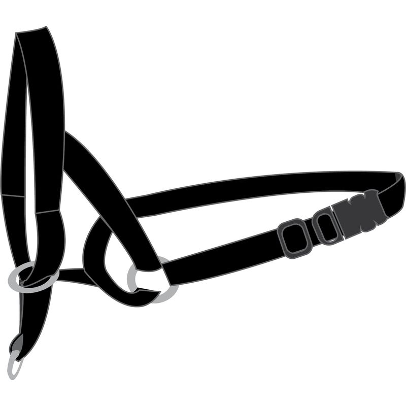 Collier Educatif Easy anti traction