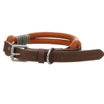 Chien Collier Athos Cognac