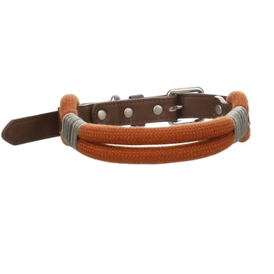 Chien Collier Athos Cognac Chien Collier Athos Cognac