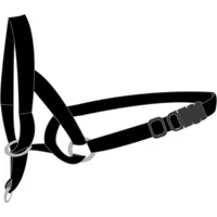 Collier Educatif Easy anti traction