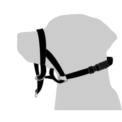 Collier Educatif Easy anti traction