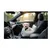 Siege auto voiture pour chien blanc Siege auto voiture pour chien blanc
