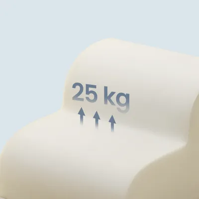 FEANDREA Escalier pour Chien, à 3 Marches, Housse Amovible Lavable