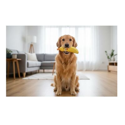 Jeu pour chien Fruco la Banane sonore