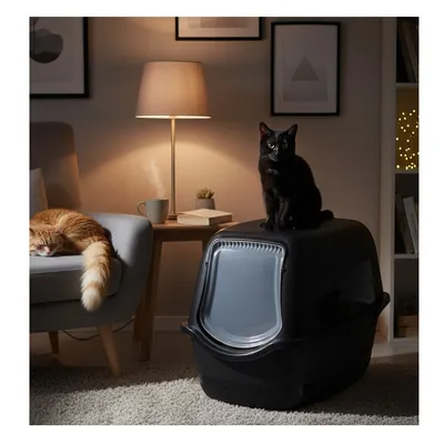 Bac a litière pour chat Lexie