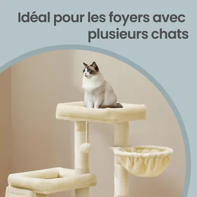 FEANDREA Arbre à Chat avec Planche à Griffer, 2 Couchages, 85,8 cm de Haut FEANDREA Arbre à Chat avec Planche à Griffer, 2 Couchages, 85,8 cm de Haut