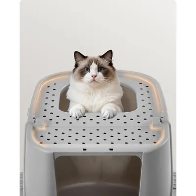 Feandrea Maison de toilette pour Chat avec Pelle et Brosse Jusqu’à 15 kg