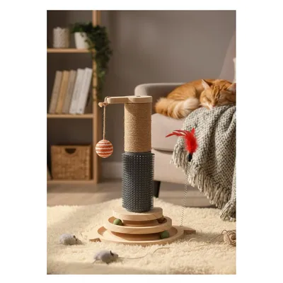 Jouet à Griffer pour Chat Lex Plumes, Circuit à Balle et Brosse Massage