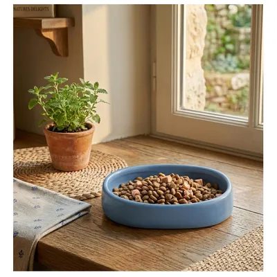 Gamelle ronde pour chat nourriture et eau Zara Gamelle ronde pour chat nourriture et eau Zara