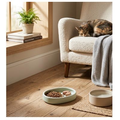 Gamelle ronde pour chat nourriture et eau Zara