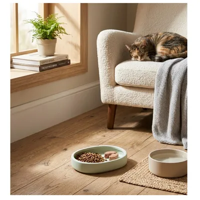 Gamelle ronde pour chat nourriture et eau Zara Gamelle ronde pour chat nourriture et eau Zara