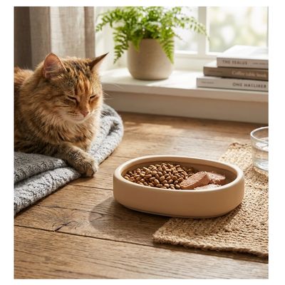 Gamelle ronde pour chat nourriture et eau Zara