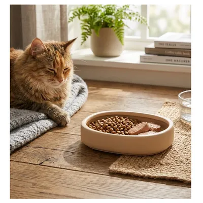 Gamelle ronde pour chat nourriture et eau Zara Gamelle ronde pour chat nourriture et eau Zara