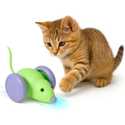 PetTribes Souris Électrique Automatique pour Chats