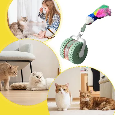 PetTribes Jouet Automatique Éducatif pour Félin