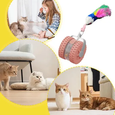 PetTribes Jouet Automatique Éducatif pour Félin