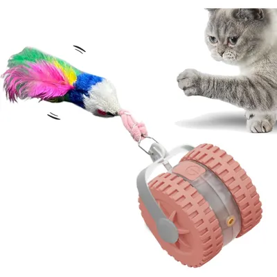 PetTribes Jouet Automatique Éducatif pour Félin