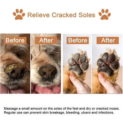 PetTribes Pommade Bio Pattes de Chien - Soin Réparateur