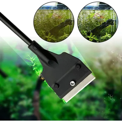 PetTribes Nettoyeur et Grattoir à Algues Aquarium