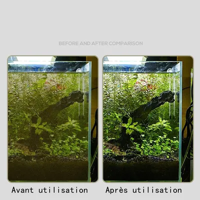 PetTribes Nettoyeur et Grattoir à Algues Aquarium