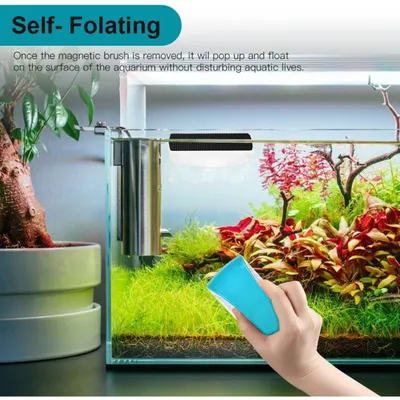 PetTribes Brosse magnétique nettoyage - Aquarium et verre
