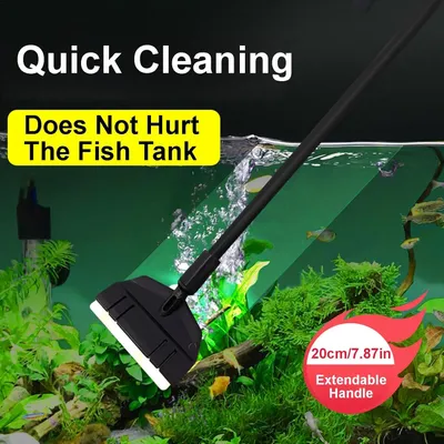 PetTribes Grattoir à Algues pour Aquarium en Verre