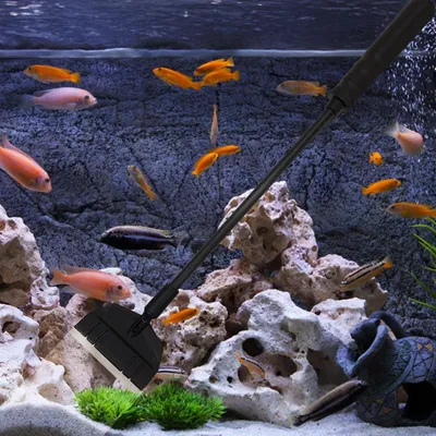 PetTribes Grattoir à Algues pour Aquarium en Verre