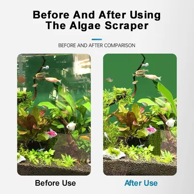 PetTribes Grattoir à Algues pour Aquarium en Verre