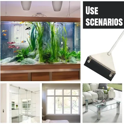 PetTribes Grattoir Algues 35 cm - Lames Inox et Tige