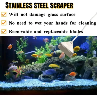 PetTribes Grattoir Algues 35 cm - Lames Inox et Tige