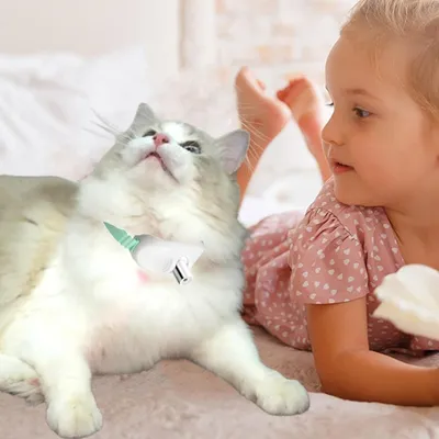 PetTribes Collier laser pour chat