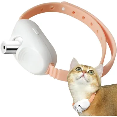 PetTribes Collier laser pour chat