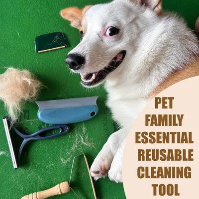 PetTribes Brosse grattoir pour poils d'animaux