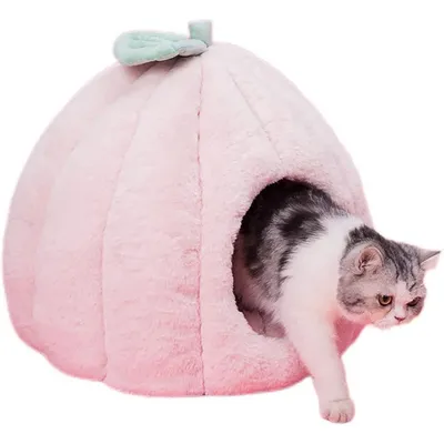 PetTribes Lits pour chats et canapés troglodytes， chaton