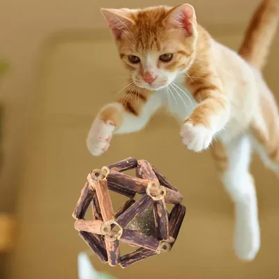 PetTribes Combo jeu naturel pour chat : 2 boules d'herbe à chat en bois