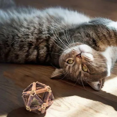 PetTribes Combo jeu naturel pour chat : 2 boules d'herbe à chat en bois