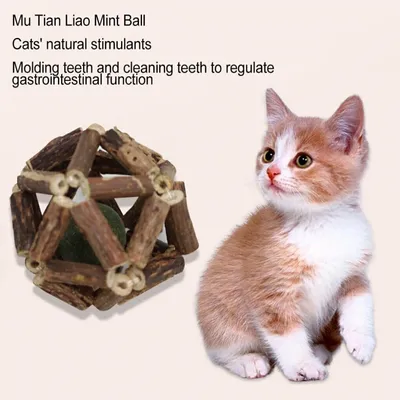 PetTribes Combo jeu naturel pour chat : 2 boules d'herbe à chat en bois