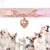 PetTribes Collier pour chat et chien en strass en forme de cœur
