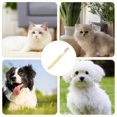 PetTribes  Peigne pour chat à pointes arrondies