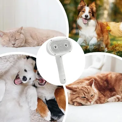 PetTribes Brosse Soin Vapeur - Peigne Lavable pour Peau et Pelage Sain