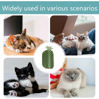 PetTribes Le Peigne Magique : Massant et Anti-Poil Mort