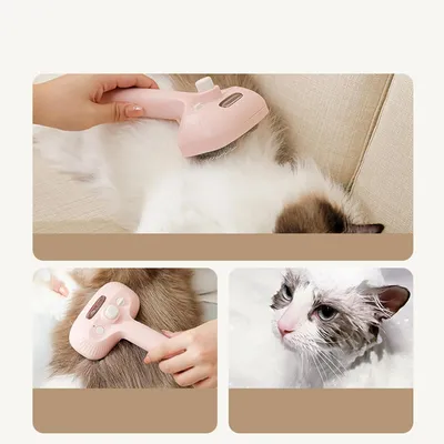 PetTribes Brosse vapeur pour chat et chien - Toilettage et massage